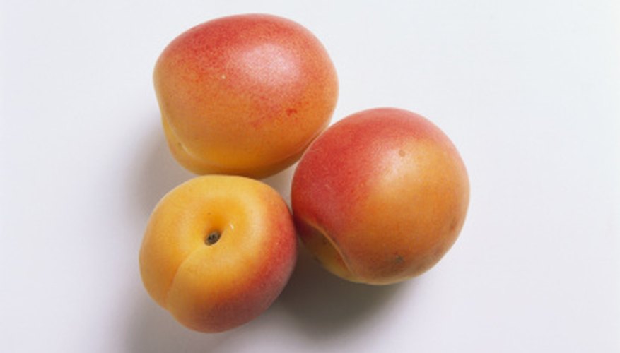 Apricot trees can be identified by fruit, foliage and other features. Apricot trees can be identified by fruit, foliage and other features.