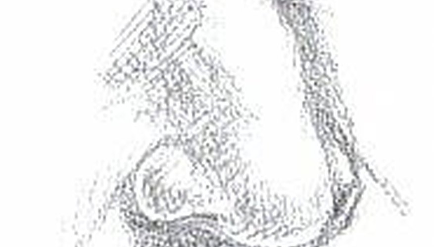 Leonardo da Vinci's Nose, drawn after his self portrait by author Leonardo da Vinci's Nose, drawn after his self portrait by author