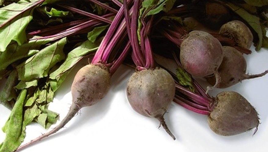 Make Calligraphy Ink From Beets Make Calligraphy Ink From Beets