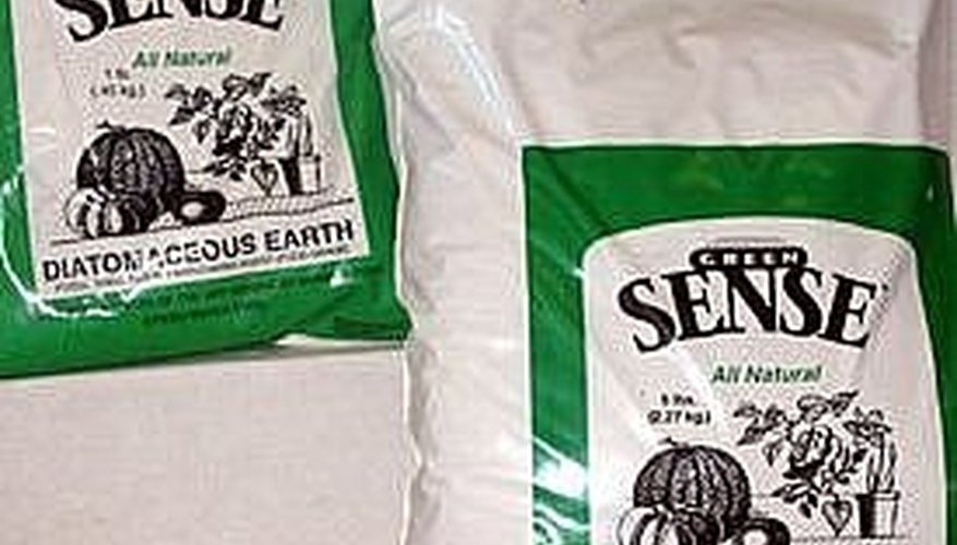 Diatomaceous earth Diatomaceous earth