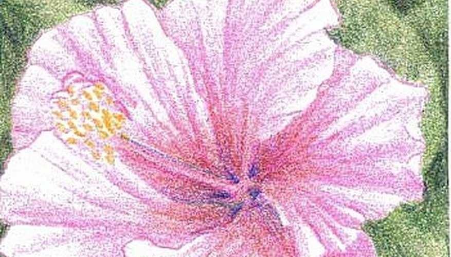Hibiscus shaded dry using mixed colors in soft tonal layers for shadowing.