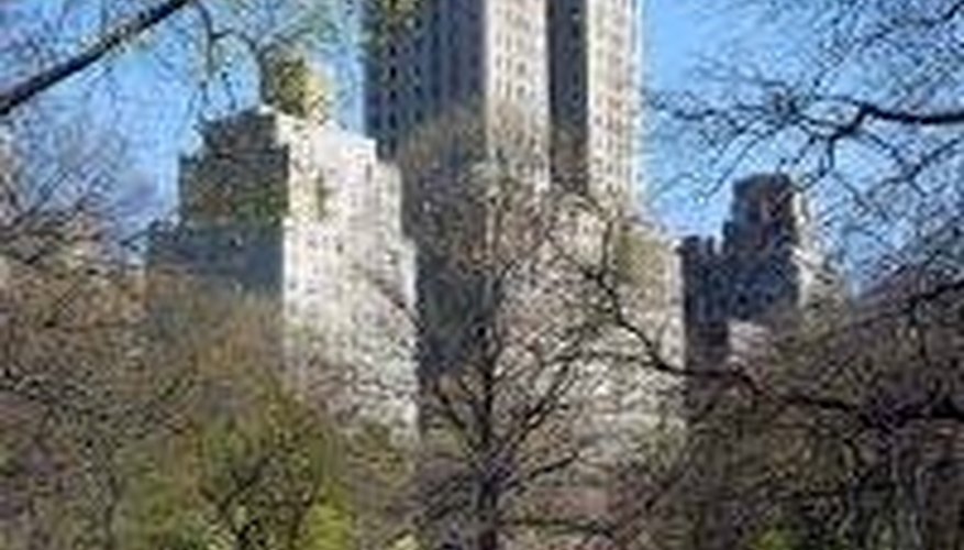 It's Charlotte York's Manhattan, You Just Live in It It's Charlotte York's Manhattan, You Just Live in It