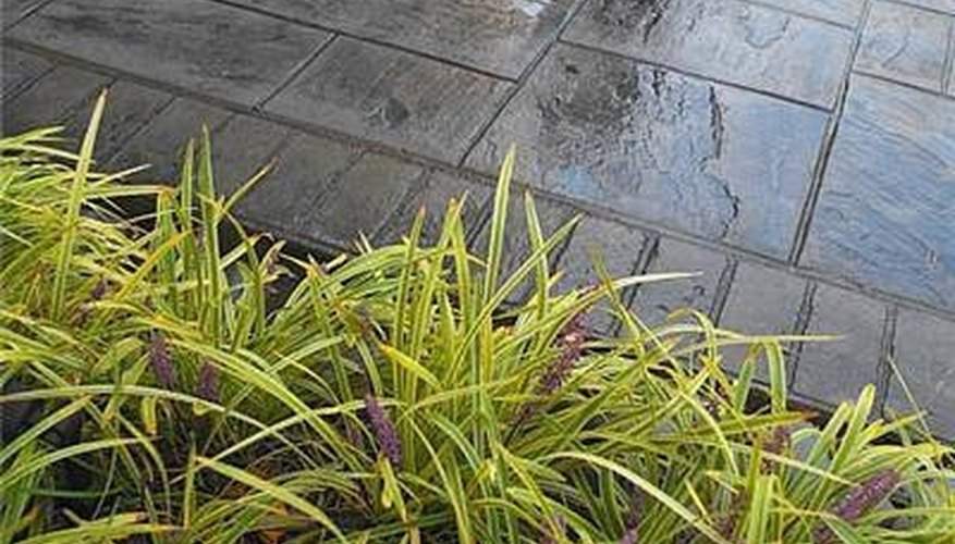 Stamped Concrete Stamped Concrete