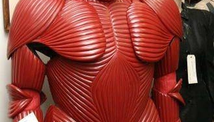 Gary Oldman's armor in Gary Oldman's armor in