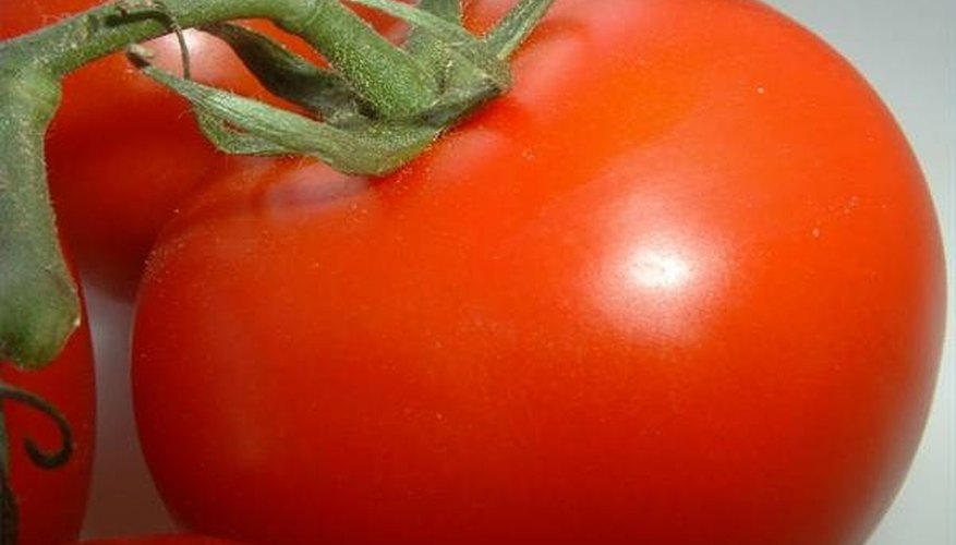 Grow With Hydroponics Grow With Hydroponics