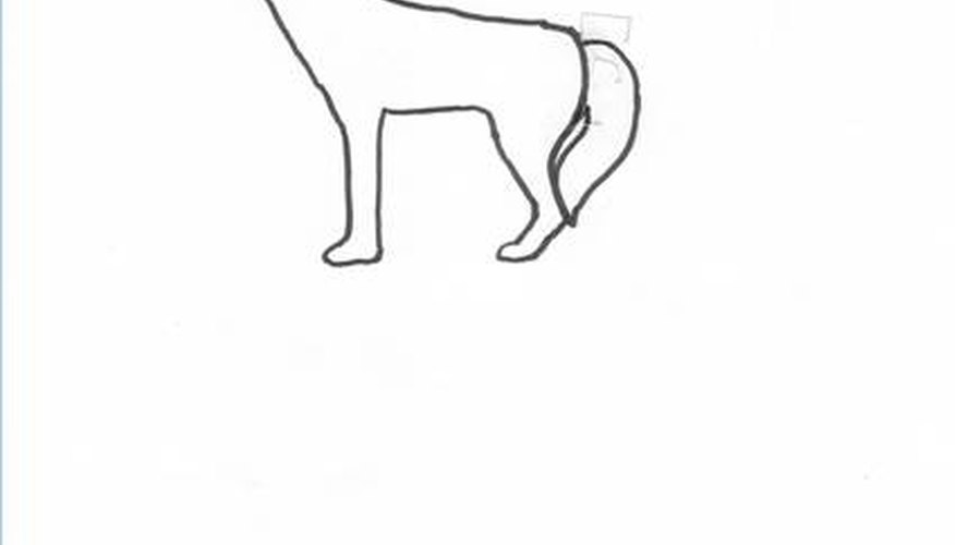 The tail