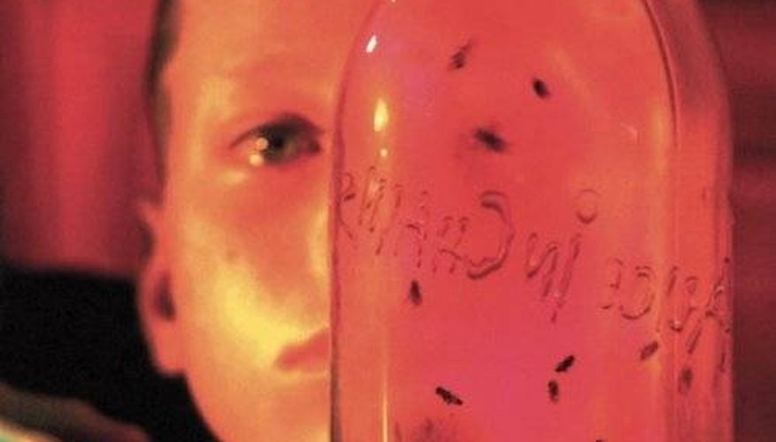 Alice in Chains' Alice in Chains'