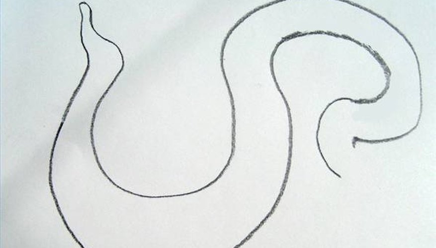 Draw the body of the diamondback rattlesnake.
