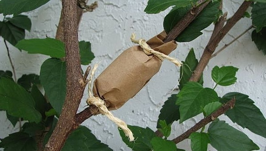 Secure With Brown Paper Secure With Brown Paper