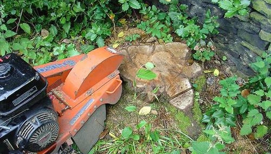 how-to-grind-a-stump-garden-guides