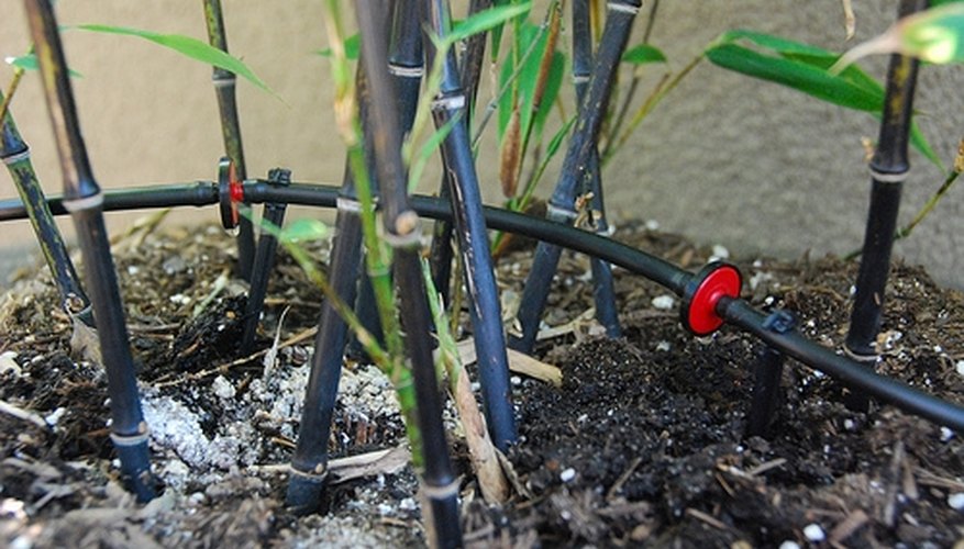 Small-diameter tubing, multiple emitters on stakes Small-diameter tubing, multiple emitters on stakes