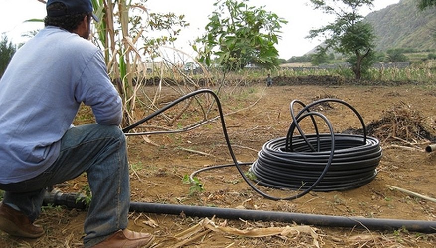 Installing a large drip system Installing a large drip system