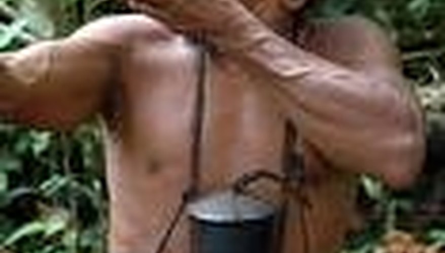 How Fast Does a Blowgun Dart Travel? How Fast Does a Blowgun Dart Travel?