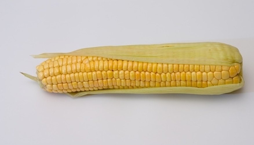 corn corn