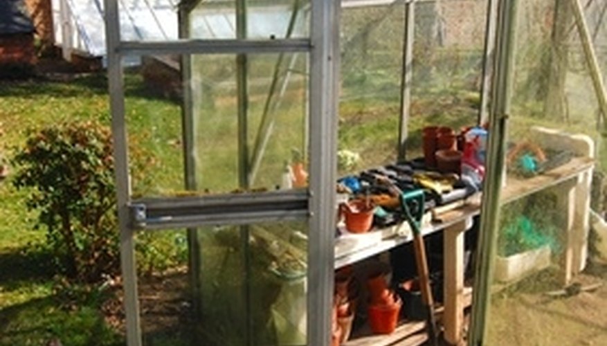 Keep your greenhouse free of whitefly. Keep your greenhouse free of whitefly.
