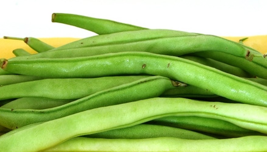Get your green bean crop sooner by starting seeds before planting. Get your green bean crop sooner by starting seeds before planting.