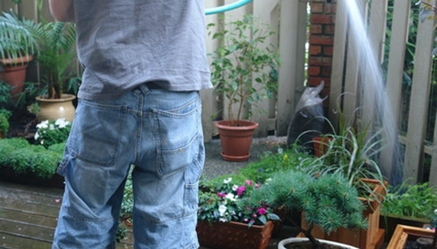 Apply once weekly for prevention of powdery mildew. Apply once weekly for prevention of powdery mildew.