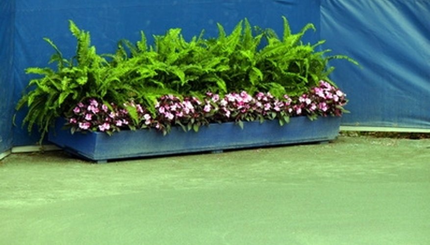 How to build a planter box How to build a planter box