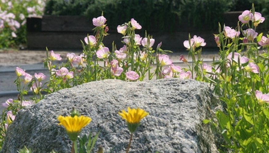Use concrete boulders for landscaping. Use concrete boulders for landscaping.
