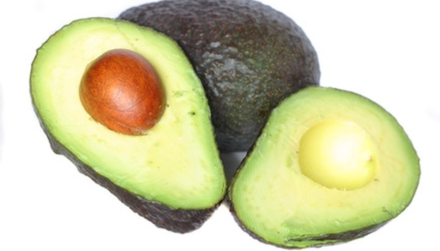 The perfect product from your mature avocado plant. The perfect product from your mature avocado plant.