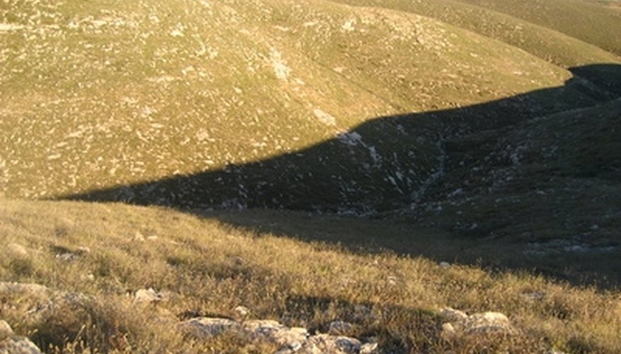 The soil found on Crowley's Ridge is rich and fertile. The soil found on Crowley's Ridge is rich and fertile.