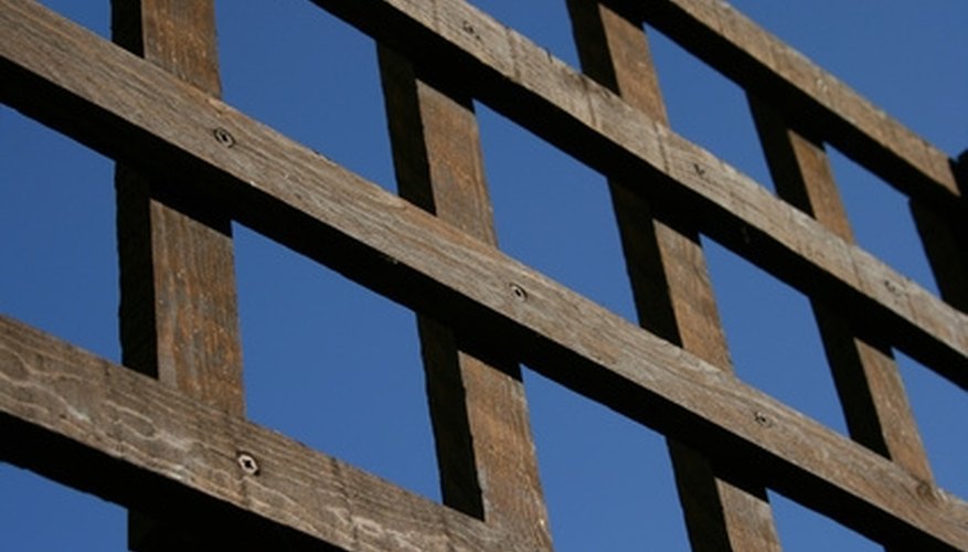 Trellises made of fencing material can be assembled quickly and easily. Trellises made of fencing material can be assembled quickly and easily.