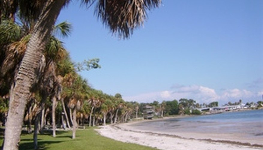 Atrazine is used in Florida to kill broadleaf and grassy weeds in St. Augustinegrass. Atrazine is used in Florida to kill broadleaf and grassy weeds in St. Augustinegrass.