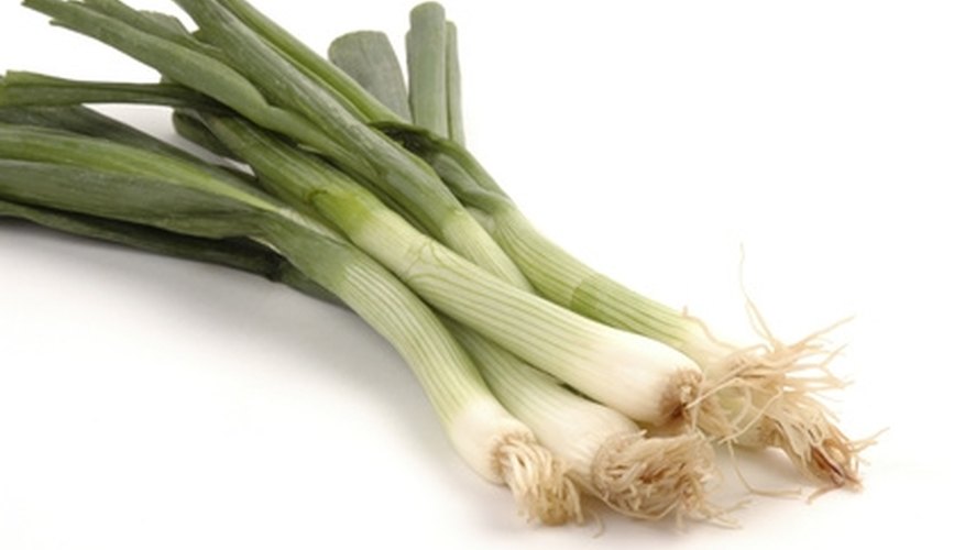 Have tasty green onions available to harvest even if you don't have a dedicated garden area. Have tasty green onions available to harvest even if you don't have a dedicated garden area.