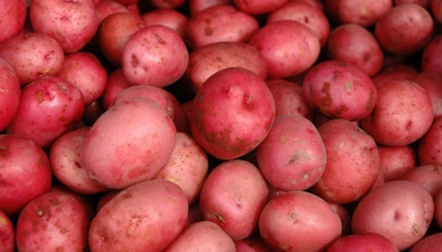 Red potatoes Red potatoes