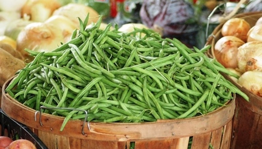 Yellow insects can attack green bean plants. Yellow insects can attack green bean plants.