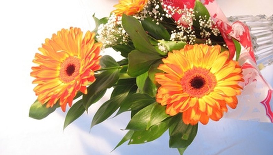 Floral coolers come in a variety of compact sizes. Floral coolers come in a variety of compact sizes.