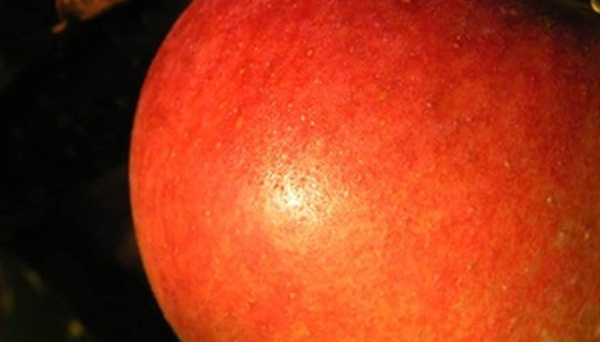 Grow apples in your own backyard--plant trees in full sunlight and add organic materials to the soil to give it a nutrient boost. Grow apples in your own backyard--plant trees in full sunlight and add organic materials to the soil to give it a nutrient boost.