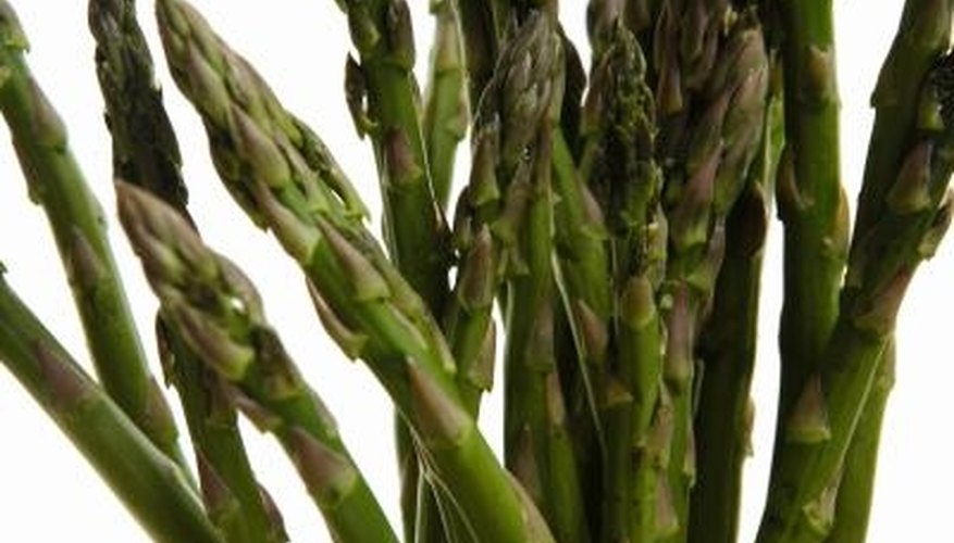 Asparagus is not an ideal crop for Florida. Asparagus is not an ideal crop for Florida.