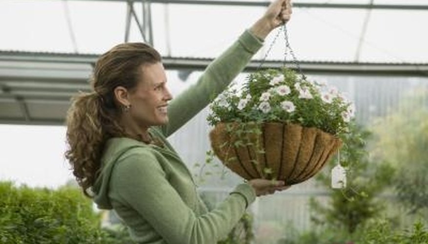 Hanging plant baskets lined with coconut fiber offer multiple benefits. Hanging plant baskets lined with coconut fiber offer multiple benefits.