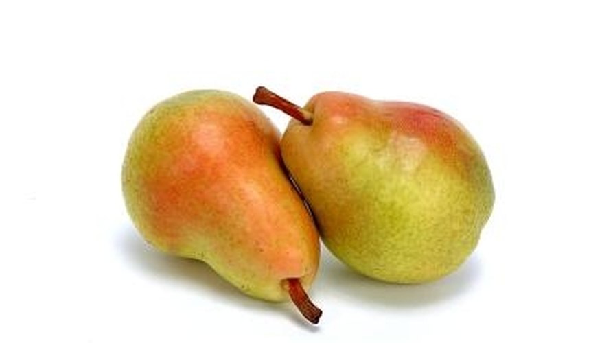 Different varieties of pears grow well in Arkansas. Different varieties of pears grow well in Arkansas.