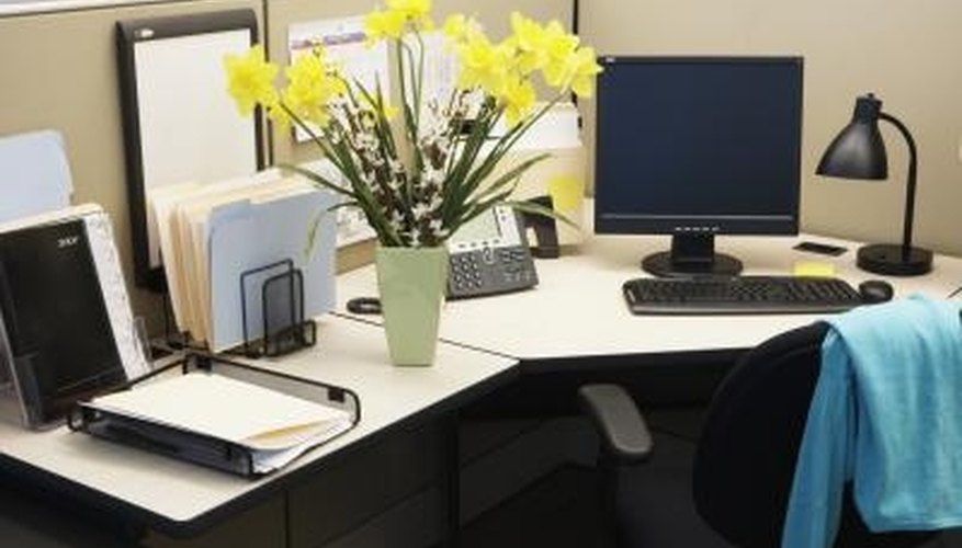 Grow daffodils in water to brighten up your home or office any time of the year. Grow daffodils in water to brighten up your home or office any time of the year.