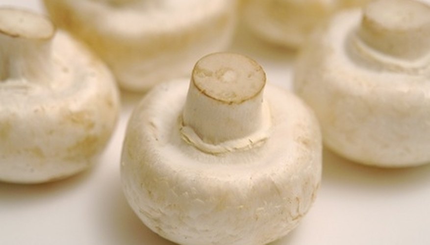 Mushrooms grow in a range of different environments. Mushrooms grow in a range of different environments.