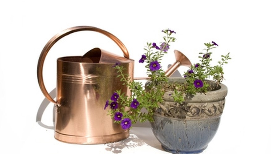 Learn the individual nutrient requirements for your indoor plants. Learn the individual nutrient requirements for your indoor plants.