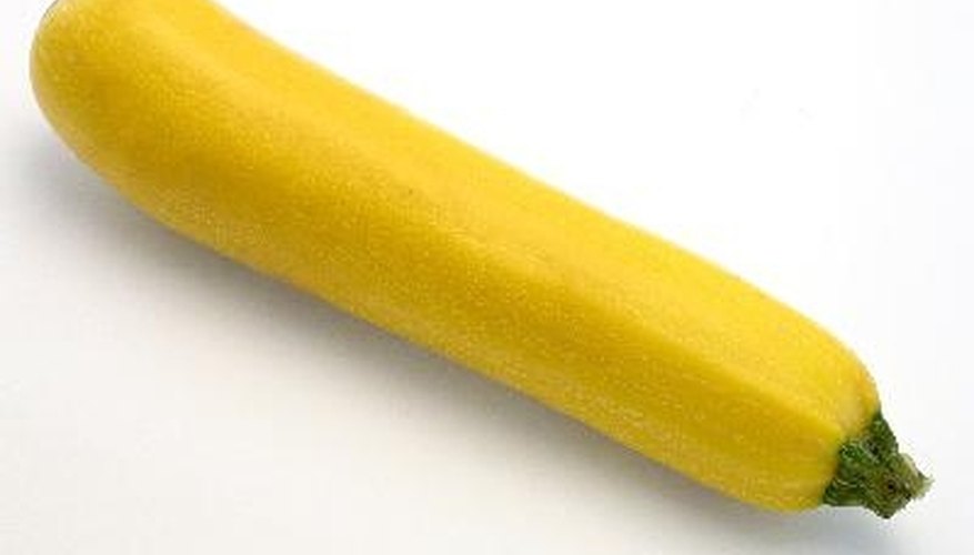 Zucchini is now available as a yellow or gold summer squash. Zucchini is now available as a yellow or gold summer squash.