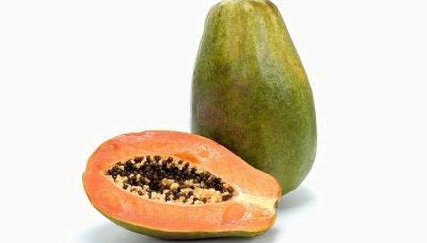 Papaya is a tropical fruit that is occasionally damaged by worms. Papaya is a tropical fruit that is occasionally damaged by worms.