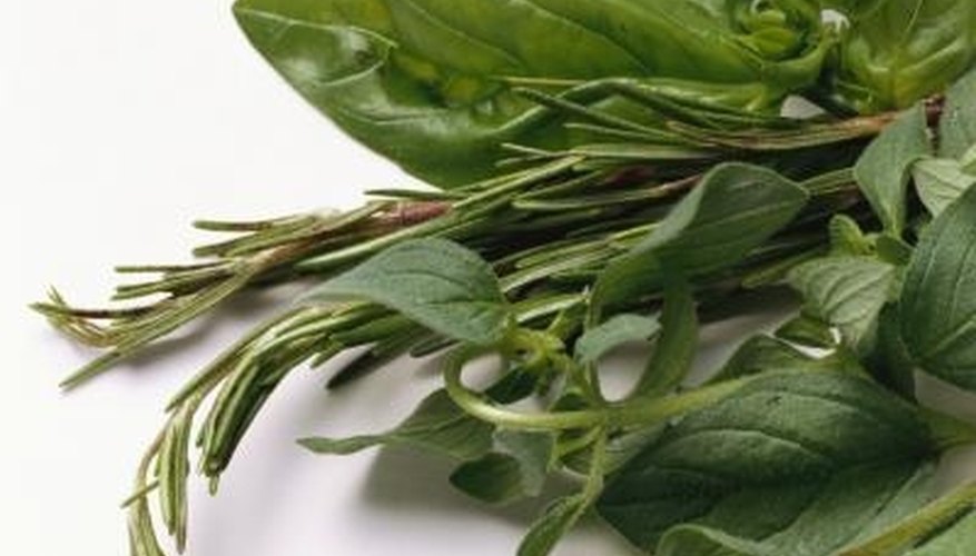 Grow your own basil at home by properly fertilizing. Grow your own basil at home by properly fertilizing.