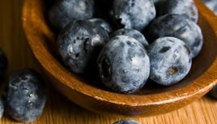 Blueberries can be enjoyed raw or baked. Blueberries can be enjoyed raw or baked.