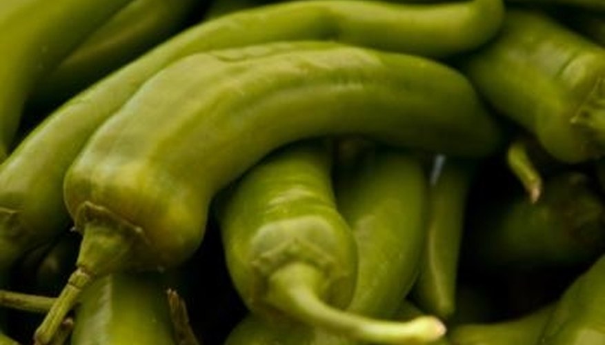 Peppers are in the Solanaceae family. Peppers are in the Solanaceae family.