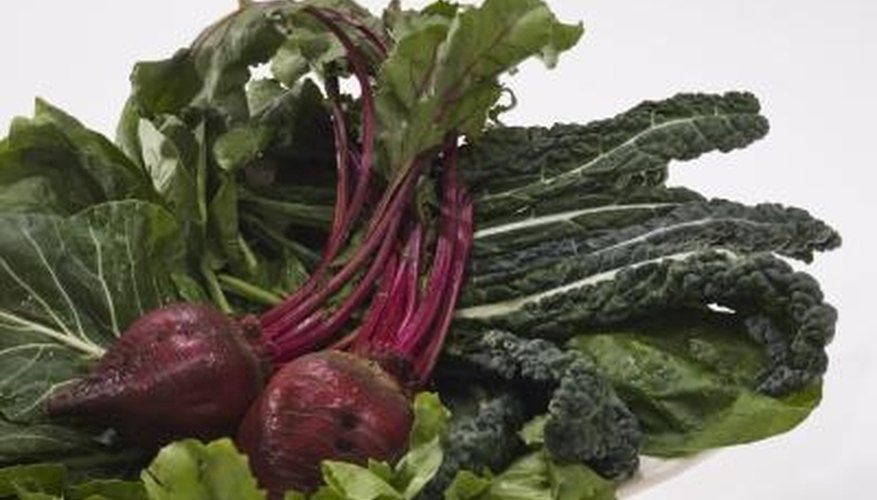 Radish leaves are not poisonous. Radish leaves are not poisonous.