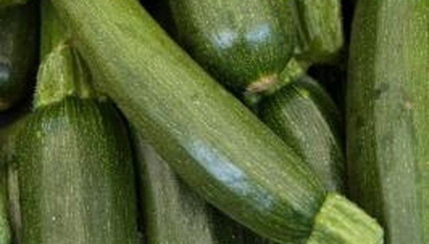 Supply extra nutrients to the plant by placing an organic mulch around the zucchini plants. Supply extra nutrients to the plant by placing an organic mulch around the zucchini plants.
