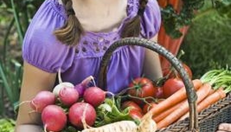 Reap the rewards of a well-planned garden plan and layout. Reap the rewards of a well-planned garden plan and layout.