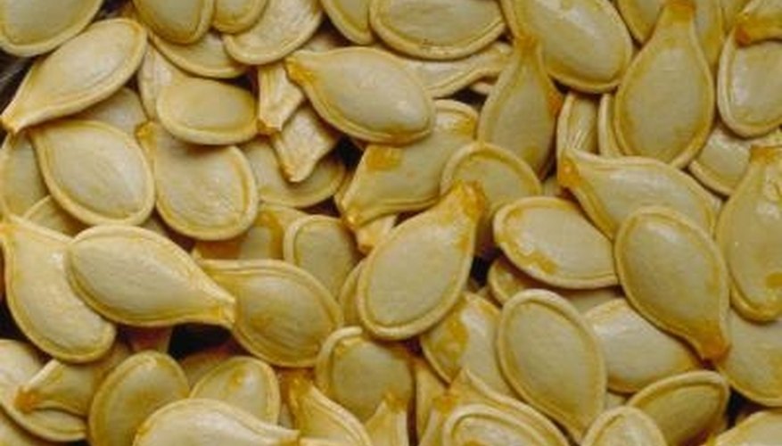 File pumpkin seeds before planting. File pumpkin seeds before planting.