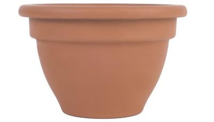 The larger the pot, the larger the drainage hole should be. The larger the pot, the larger the drainage hole should be.