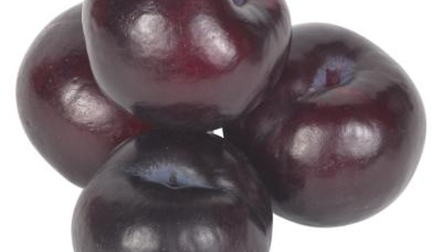italian plums download