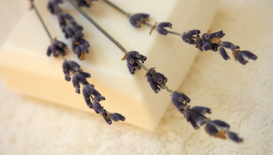 Goat's milk soap is beneficial to the skin. Goat's milk soap is beneficial to the skin.